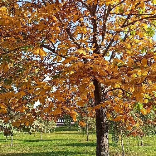 Photo #9569344