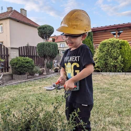 Little gardener