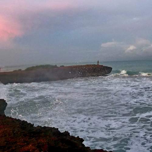 Photo #9569468