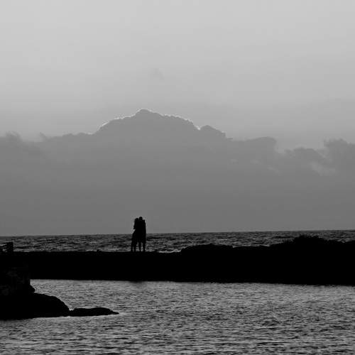 Photo #9569469