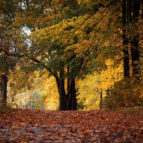 Photo #9569482