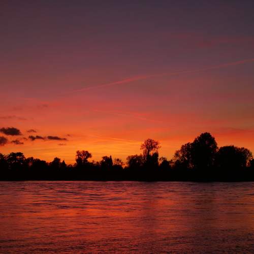 Photo #9569538