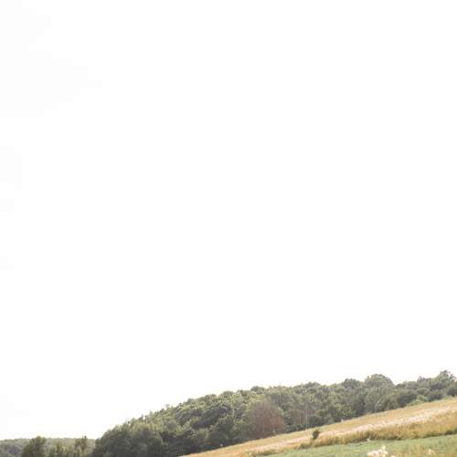 Photo #9569543