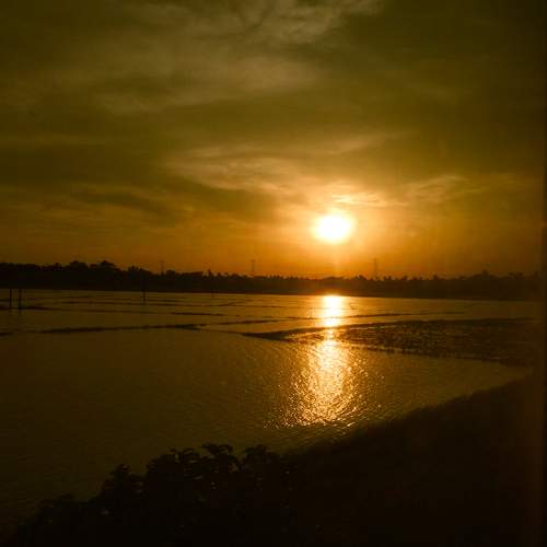 Photo #9569552