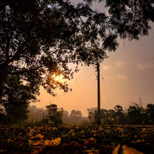 Photo #9569559