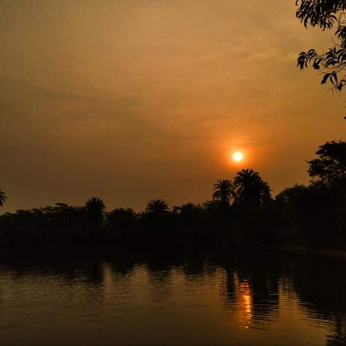 Photo #9569565