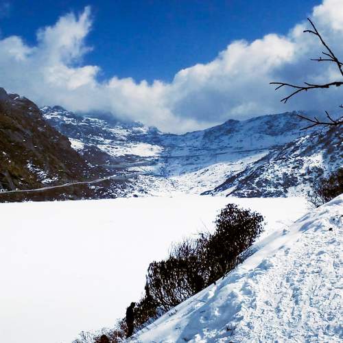 Photo #9569639