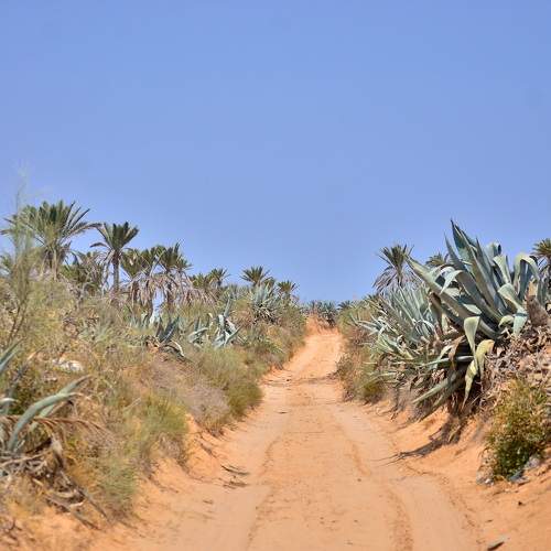 Photo #9569805