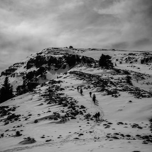Climb to the top