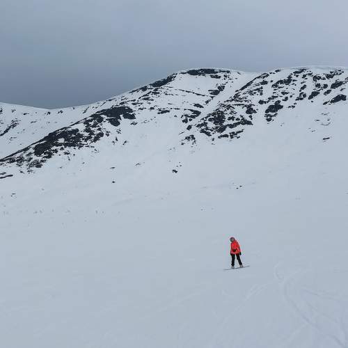 Photo #9569878