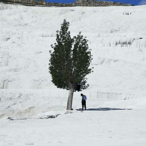 Photo #9569879
