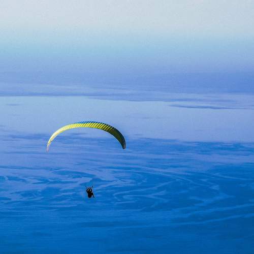 Photo #9569880