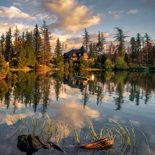 Photo #9569886