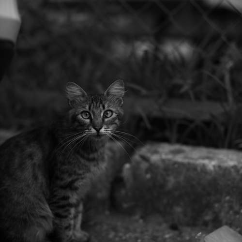 Photo #9569909