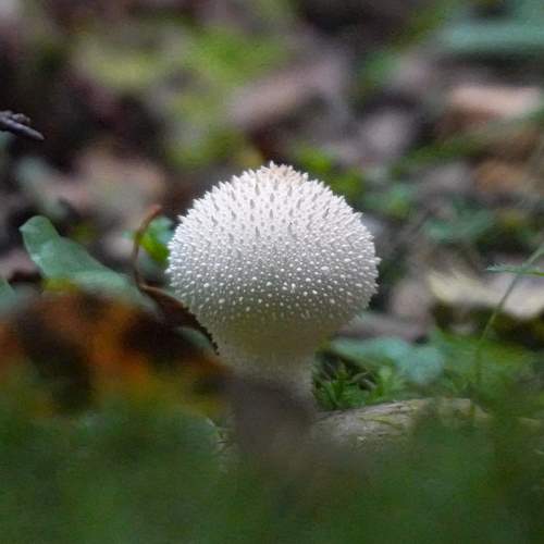 Photo #9569973