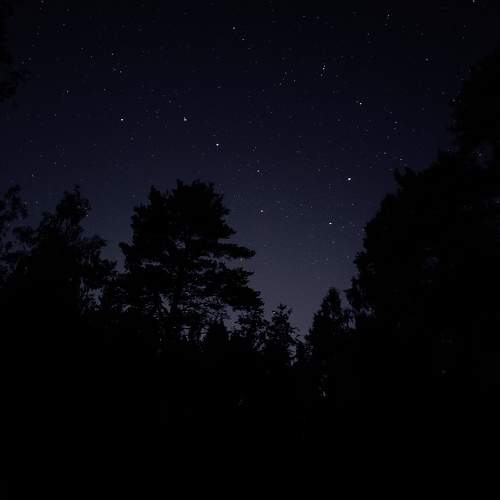 Photo #9569975