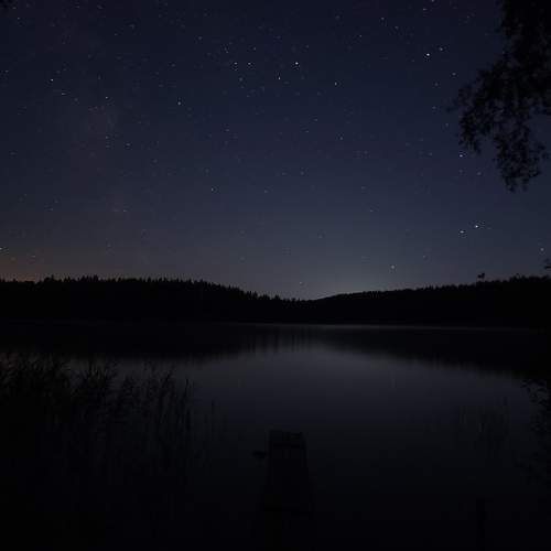 Photo #9570030
