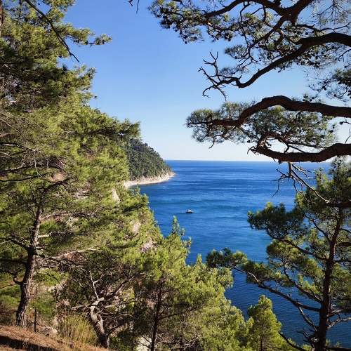 Photo #9570188