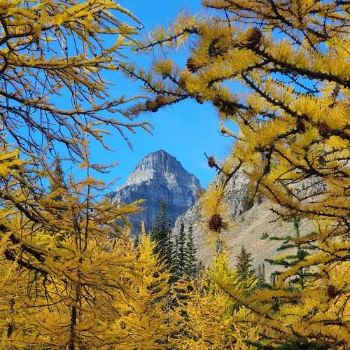 Photo #9570302