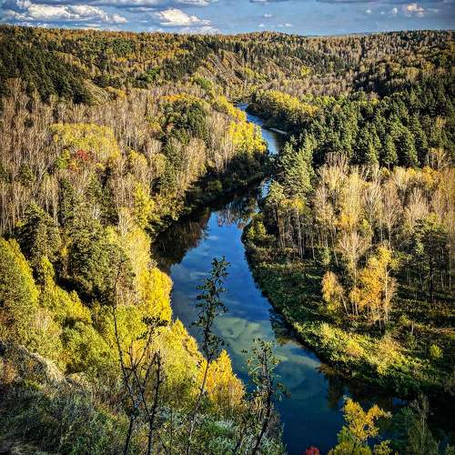 Photo #9570466