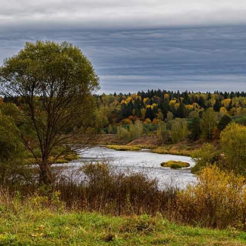 Photo #9570598