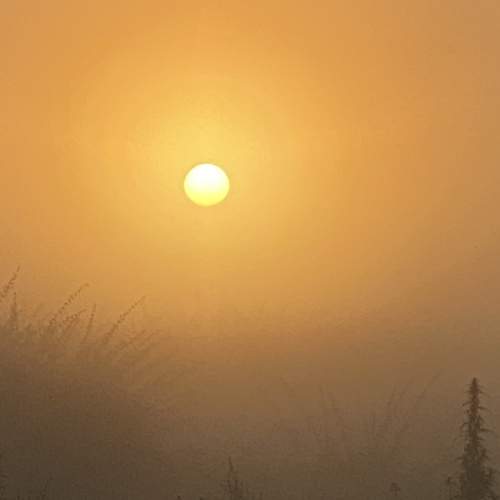Photo #9570601
