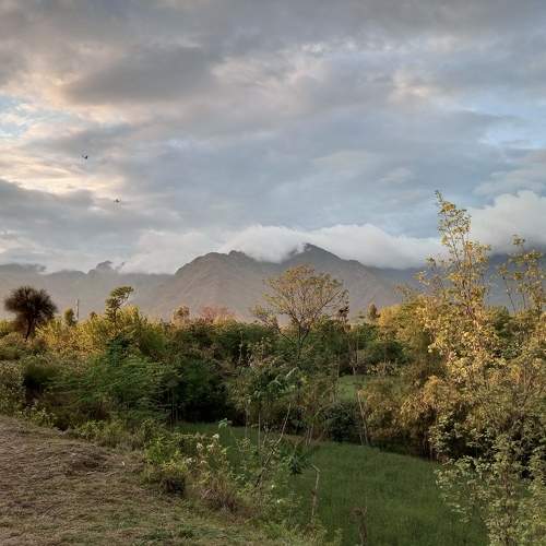 Photo #9570621