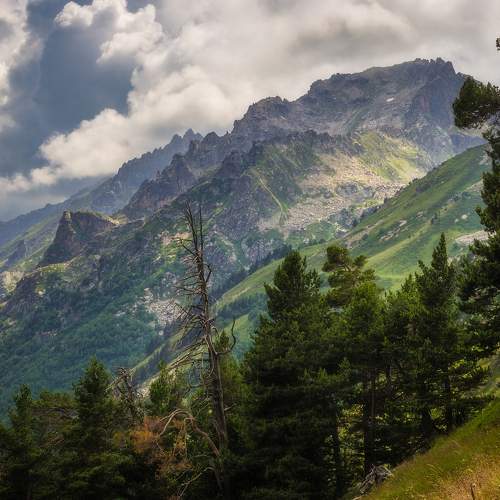 Photo #9570923