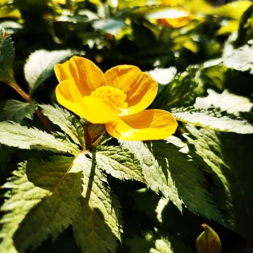 Photo #9570966