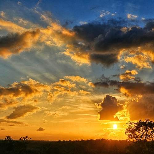 Photo #9571357