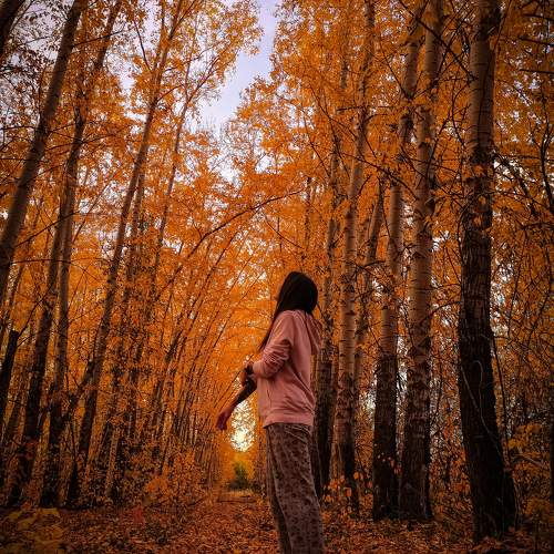 Photo #9571432