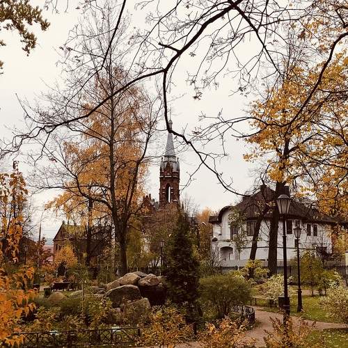 Photo #9571454