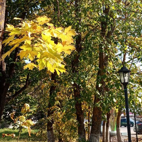 Photo #9571720