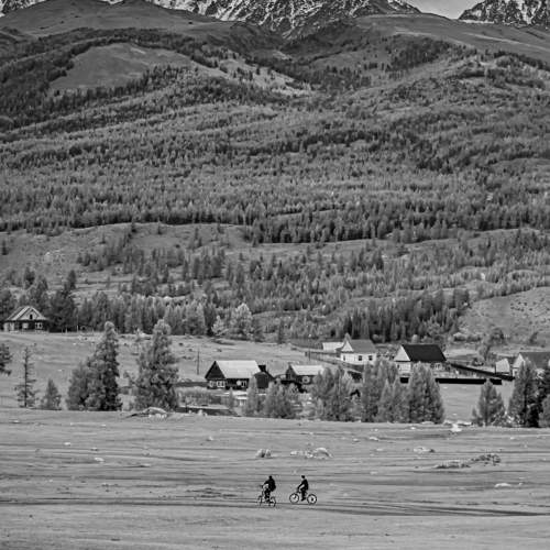 Photo #9571982