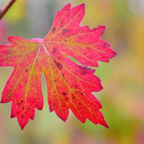 Photo #9572030