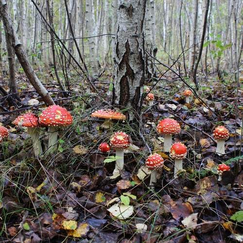 Photo #9572108