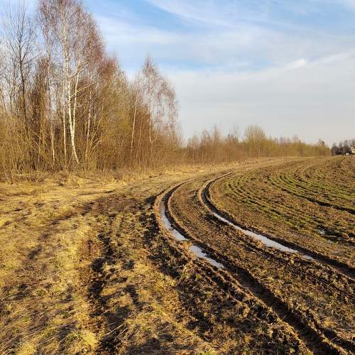 Photo #9572307