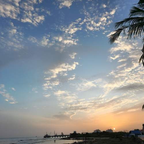 Photo #9572588