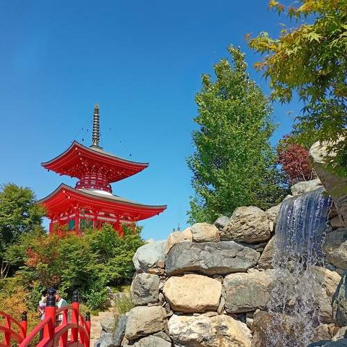 Photo #9572863