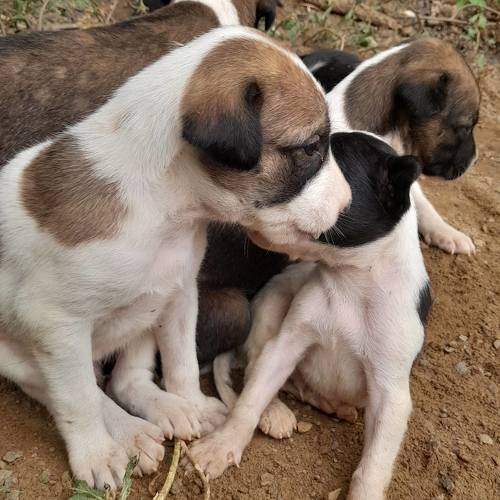 Photo #9573099