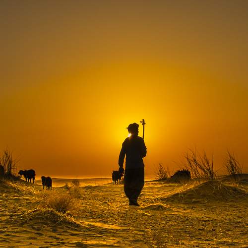 Photo #9573131