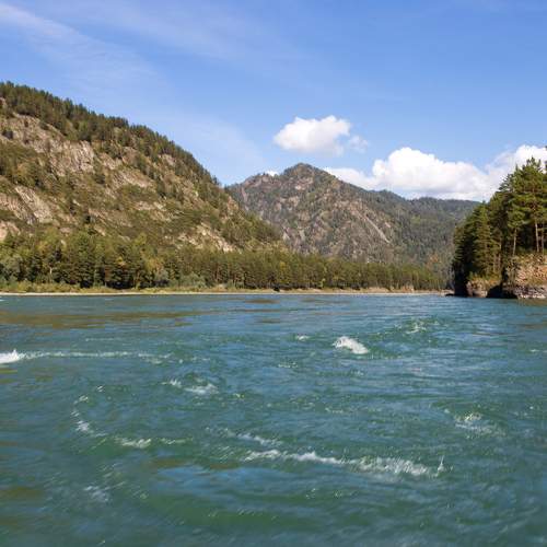 Photo #9573217