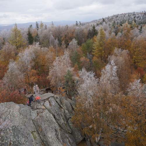 Photo #9573469