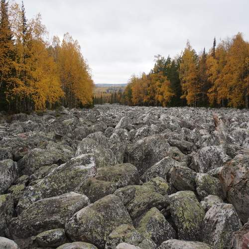 Photo #9573488
