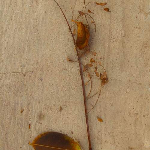 Photo #9573507