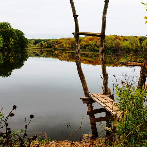 Photo #9573526
