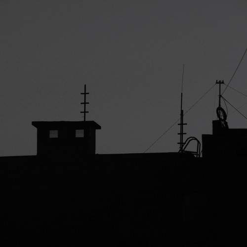Photo #9573548