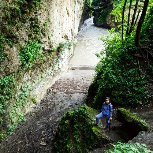 Photo #9573770