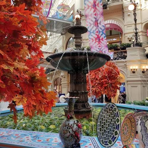 Photo #9573777
