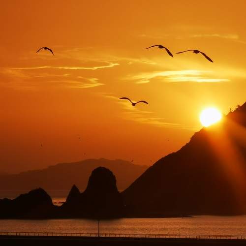 Photo #9573894